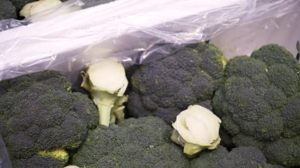 Marketteki Bir Gıda Geçidinde Olgun Brokolili Konteynırlar Sağlıklı Bir Diyet — Stok video
