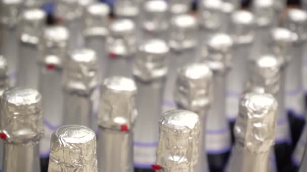 Fabrikada Duran Birçok Şarap Şişesinin Hareket Odasının Manzarası Satışa Hazır — Stok video