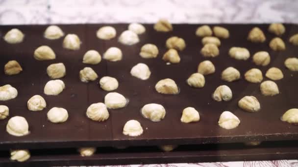 Koyu Çikolata Çikolatadan Yapılmış Fındıklı Lezzetli Çikolatalar Çikolata Kareli Fayanslar — Stok video