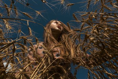 Ukrayna için dua et. Buğday tarlasında Ukraynalı bir kız. Buğday tarlasında bir kız Ukrayna 'da barış için dua ediyor. Bağımsızlık Günü 'nü kutlayan mutlu kadın