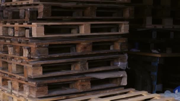 パレットラック倉庫 物流センター 巨大な近代的な倉庫だ 空の木製パレットは倉庫に積み込まれています 店内には空のパレットがたくさん積もっています — ストック動画