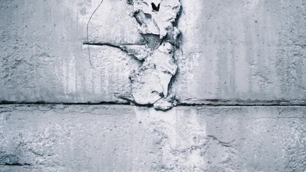 古い家の白い粘土の壁に亀裂 亀裂に沿ってクローズアップカメラの動き 建物の完全性の喪失 — ストック動画
