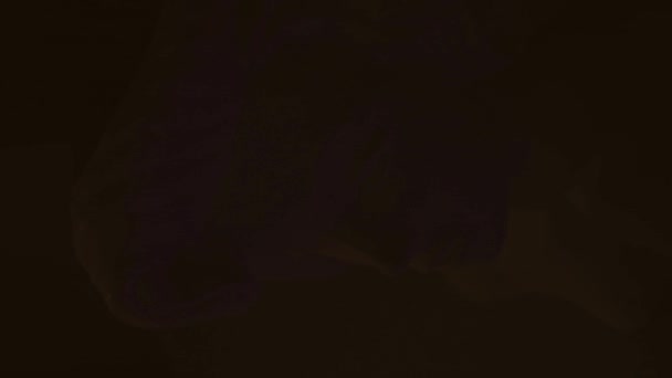 Γλυπτική Του Δαβίδ Σκούρο Φόντο Νέον Φως Αφαίρεση Διπλή Έκθεση — Αρχείο Βίντεο