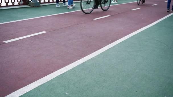 Nsanların Yürüdüğü Kırmızı Bir Bisiklet Yolu Bisiklet Sürmek Için Bisiklet — Stok video
