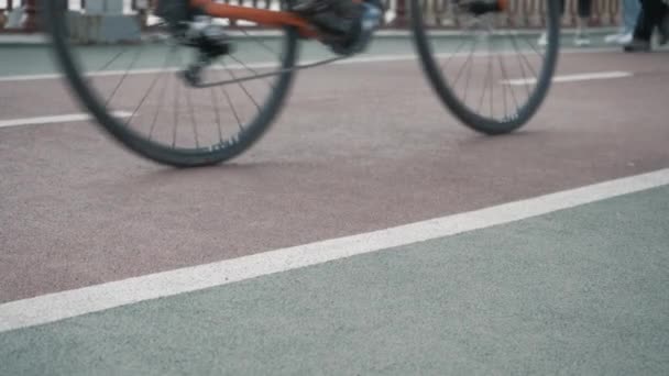 Czerwona Ścieżka Rowerowa Gdzie Ludzie Chodzą Ścieżka Rowerowa Dla Rowerzystów — Wideo stockowe
