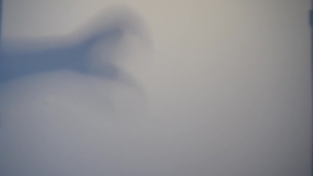 Shadow Blur Groază Spatele Sticlei Înghețate Mâna Încețoșată Abstracția Formei — Videoclip de stoc