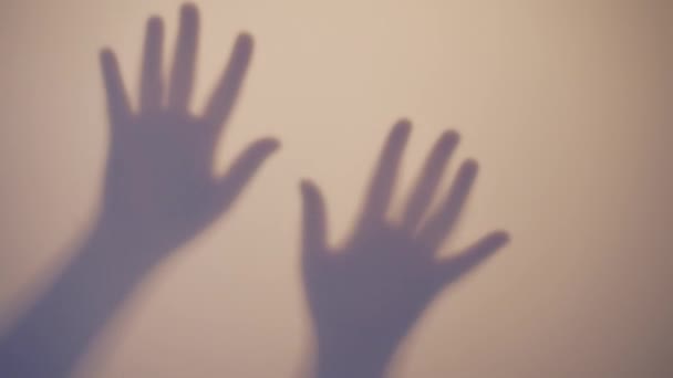一个漂亮的性感女孩表演诱人的身体动作的轮廓 白色背景上的阴影和手的轮廓 女孩的影子穿过玻璃 — 图库视频影像