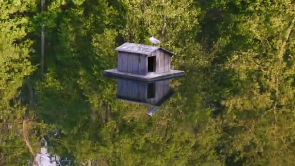 Sebuah Rumah Burung Tengah Danau Dengan Burung Duduk Atasnya Perlindungan — Stok Video