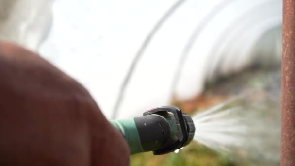 Naaldstruiken Met Groene Planten Besproeien Kas Met Herbiciden Pesticiden Insecticiden — Stockvideo