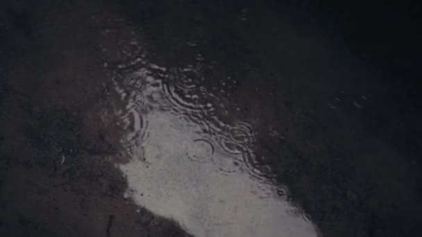 Krople Deszczu Wpadają Kałuży Asfalcie Ciągu Dnia Zamykamy Deszcz Zewnątrz — Wideo stockowe