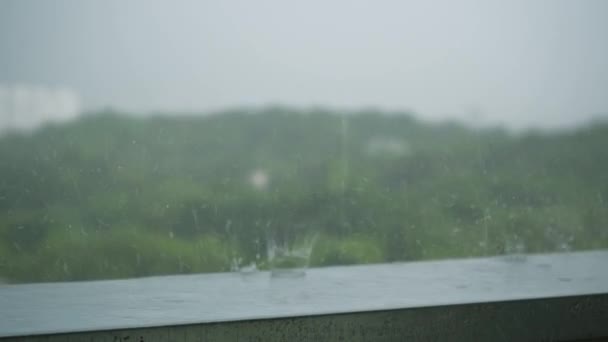 Σταγόνες Βροχής Πέφτουν Λακκούβες Στην Άσφαλτο Κατά Διάρκεια Της Ημέρας — Αρχείο Βίντεο