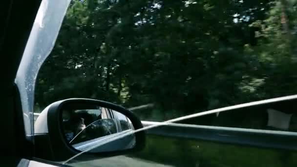Вид Через Бічне Вікно Автомобіля Рухається Вздовж Дороги Вздовж Лісу — стокове відео