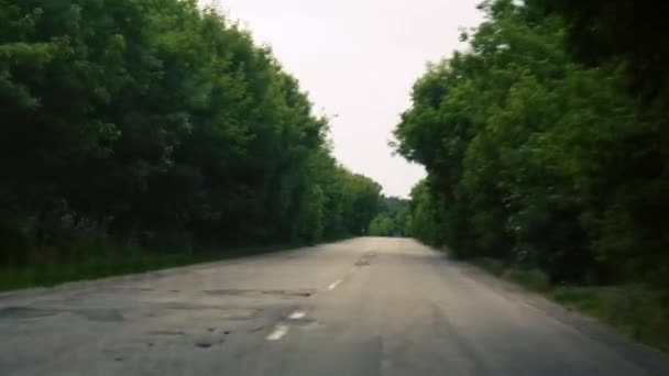 Вид Вікна Автомобіля Тунель Дерев Концепція Подорожей Дерева Вздовж Дороги — стокове відео
