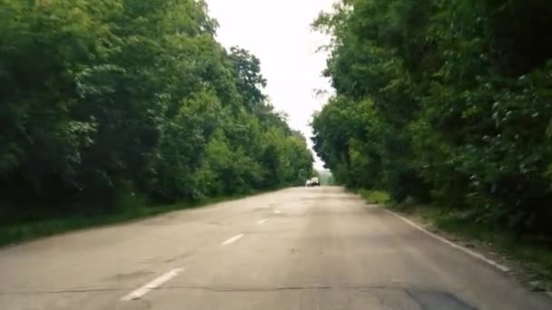 Lihat Dari Jendela Mobil Terowongan Pohon Konsep Perjalanan Pohon Sepanjang — Stok Video