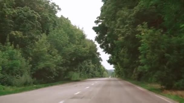 Widok Okna Samochodu Tunelu Drzew Koncepcja Podróży Drzewa Wzdłuż Drogi — Wideo stockowe
