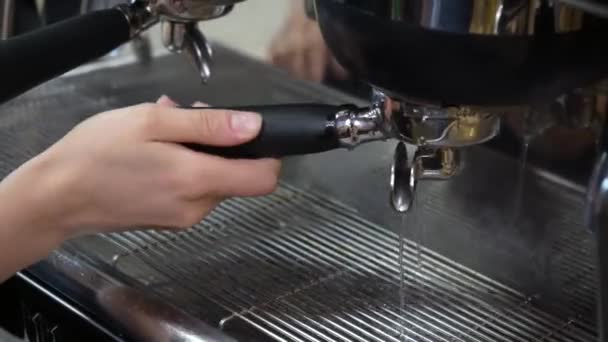 Preparación Del Café Molido Con Apisonamiento Del Café Fresco Manipulación — Vídeos de Stock