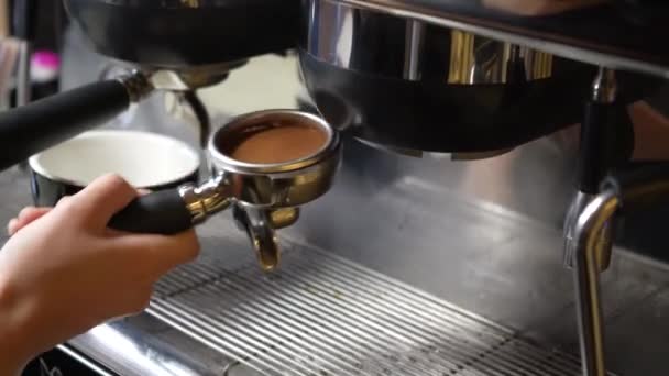 Ground Coffee Pours Out Grinder Slowly Falls Portfilter Процесс Измельчения — стоковое видео