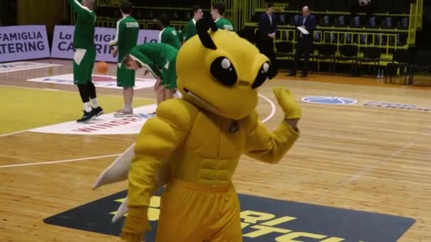 Kyiv Basketbol Takımının Maskotu Dans Eder Kameraya Poz Verir Gergin — Stok video