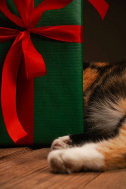 Noel kedisi ahşap bir arka planda Noel hediyeleriyle oturuyor. Uzayı kopyala Noel indirimi afişi, kartpostal, poster, kış tatili alışverişi. Mutlu yıllar.