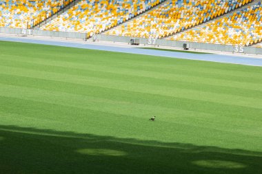 futbol stadyumu içinde görünümü. futbol sahası, boş tribünler, taraftar kalabalığı, gökyüzüne karşı bir çatı.