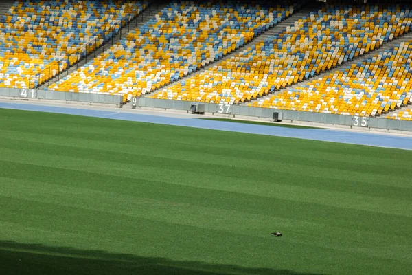 futbol stadyumu içinde görünümü. futbol sahası, boş tribünler, taraftar kalabalığı, gökyüzüne karşı bir çatı.