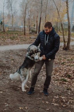 Hayvan-insan etkileşimi bir psikoloji konseptidir. Bir adam kollarında büyük bir köpek tutuyor. Takımlar tarafından köpek eğitimi. Bir adam bir köpeğe dokunur