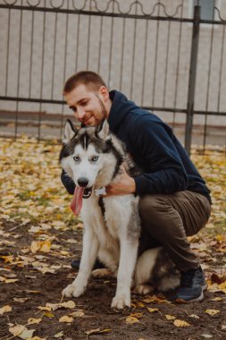 Avrupalı görünümlü bir adam bir Husky 'nin boynuna sarılır. Bir adam ve bir köpek, sonbahar arka planında yakınlaşırlar.