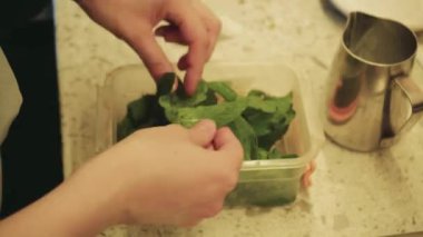 Nane şeffaf bir konteynırda yatıyor. Pişirmeden önce nanenin hazırlanması. Dişi rukia yeşil yaprakları pişirme sürecinde