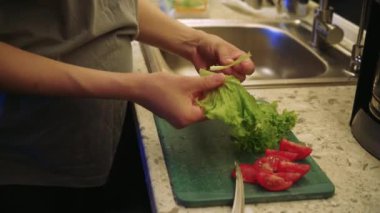 Küçük, rahat bir kafenin mutfağı. Genç bir kız aşçı sebze ve domates hazırlar ve pişmiş yemeği bitirir.