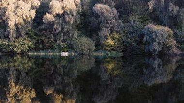 Yoğun sazlıklar ve ağaçlarla kaplı sakin ve durgun bir göl kıyısı doğal çevreyi yansıtıyor. Sakin ve sakin bir doğa sahnesi.