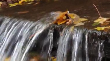 Şelale kayalık araziye dökülüyor, su üzerinde süzülen sarı yapraklar ve üste köpük oluşuyor. Doğanın kalbinde sakin, mevsimsel bir an