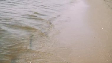 Doğanın süreçleri deniz ya da okyanus yakınında devam ediyor. Denizin sesi ve sakin dalgalar bir süreç dengesi yaratır ve ruhu sakinleştirir. Güzel ve sakince yıkanmış kumlu bir sahil.