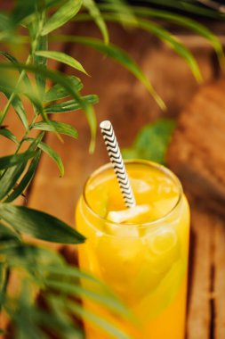 Altın limonatanın koyu bir zıtlığı sizi içeri davet ediyor. Her yudum saf ferahlatıcı, tatlılık ve keskinliği mükemmel bir uyum içinde dengeler. Tadını çıkarmaya değer bir içki.