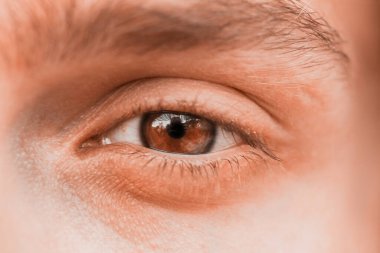 male eye close up. man looks into the frame. brown iris in macro. clipart