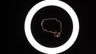 female hands beat with a fist in the air in the frame. Fight for womens rights. gestures on a black background close-up.