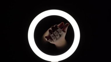 Bir sürü jest. Kadın eli yakın plan parmak figürleri yapar. Parmak oyunu, iki avuçla alkış. Alkış..