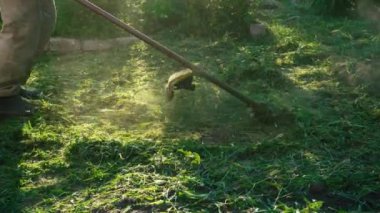 İşçi bir manuel gaz çim biçme makinesiyle çimleri biçer. Yabani otları temizliyorum. Bahçıvanın otlarından toprağı temizliyorum..