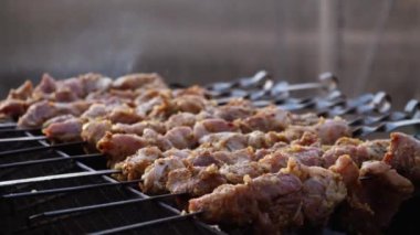 Sokakta mangal mangalında mangal yapan bir adam. Barbekü dışarıda. Doğada piknik. Izgara etle şiş kebap yapıyor..
