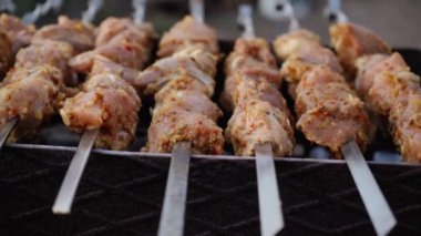 Sokakta mangal mangalında mangal yapan bir adam. Barbekü dışarıda. Doğada piknik. Izgara etle şiş kebap yapıyor..