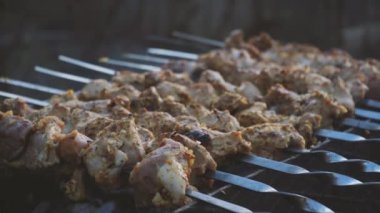 Sokakta mangal mangalında mangal yapan bir adam. Barbekü dışarıda. Doğada piknik. Izgara etle şiş kebap yapıyor..