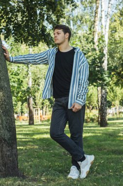 Genç bir adam parkta dik duruyor, bir ağaca yaslanıyor. Yandan bakıldığında doğal güzelliğin ortasındaki figürü görülüyor. Huzurlu park ortamı, dingin atmosferi arttırır..