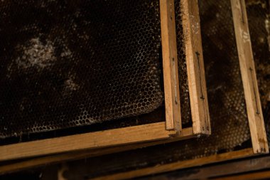 Wooden frames with honeycombs hang in a beekeeper's dark room. The golden honey contrasts beautifully with the dim background. The scene evokes the authenticity of traditional beekeeping clipart