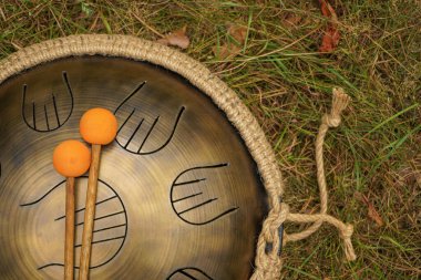 Pervane, uzak ağaçların yumuşak bulanıklığıyla çevrili orman çimlerinin üzerinde zarifçe duruyor. Parlak turuncu uçlu çubuklar yakınlarda uzanıyor, müzikal keşiflere işaret ediyor.