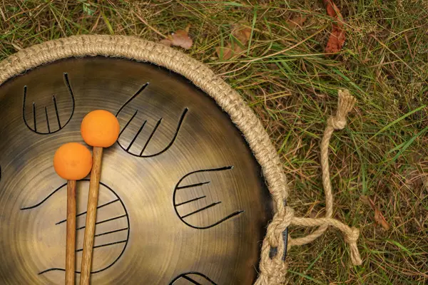 Pervane, uzak ağaçların yumuşak bulanıklığıyla çevrili orman çimlerinin üzerinde zarifçe duruyor. Parlak turuncu uçlu çubuklar yakınlarda uzanıyor, müzikal keşiflere işaret ediyor.