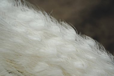 The fine structure of white feathers is captured in stunning detail. The soft texture and gentle light bring out a sense of elegance. This image is a perfect representation of nature s grace