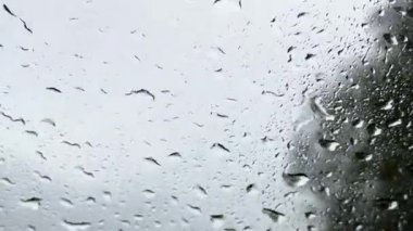 İçerideki arabanın penceresinden yağmur damlalarının camlara düşüşünü, yazın arka planda kalan bulanık ağaçları görüyorum.