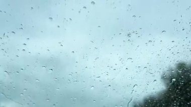İçerideki arabanın penceresinden yağmur damlalarının camlara düşüşünü, yazın arka planda kalan bulanık ağaçları görüyorum.