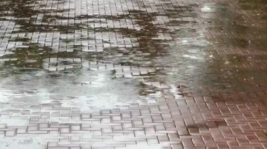 Yağmur damlaları su birikintisine düşer, kabarcıklar ve dalgalar oluşur. Yağmurlu bir gün.