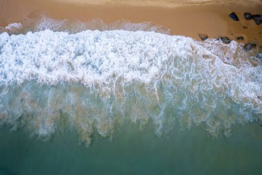 Beautiful tropical island with beach and coconut palm tree, freedom beach phuket