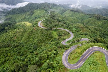 Yeşil ormandan ve dağdan geçen kırsal yolun üst görüntüsü.